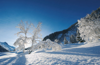 Davos Klosters Dischmatal Seitental Landschaft Winter