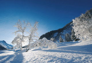 Davos Klosters Dischmatal Seitental Landschaft Winter