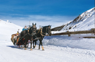 kutsche davos sunstar alpine hotel davos schweiz s