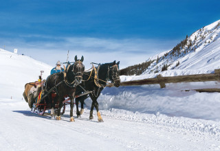 kutsche davos sunstar alpine hotel davos schweiz s