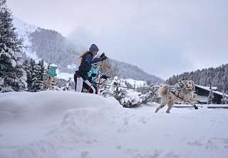 Hund zieht fröhlich an der Leine vor zwei Langläuferinnen durch den Schnee, umgeben von verschneiten Tannen und winterlichen Bergen bei Davos.