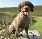 thumbnail PHOTO 2024 10 24 07 54 46 CHino